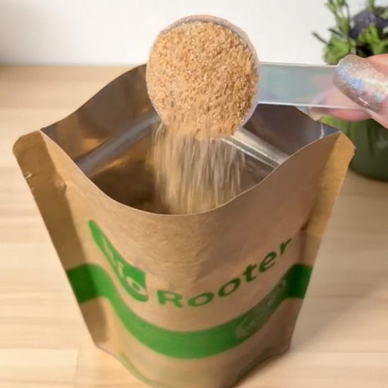 Biorooter 1kg - Limpa Caixa Gordura e Fossa - Sanear Brasil - Loja oficial | Produtos para tratamento de Água e esgoto